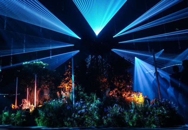 01 April 2026, Berlin: Visitors view the light installation "Forest Seasons" during the Dark Matter exhibition. Berlin-based light and media artist Christopher Bauder transforms the Transformator-Kunsthalle into a walk-through forest that changes with the seasons. Photo: Wiemke Reiners/dpa - ACHTUNG: Nur zur redaktionellen Verwendung im Zusammenhang mit der aktuellen Berichterstattung über die genannte Lichtinstallation