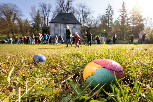 02 April 2026, Thuringia, Weimar: Two eggs lie in the grass near Goethe's garden house during the traditional Easter egg hunt. Photo: Michael Reichel/dpa