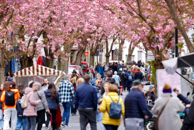 04 April 2026, North Rhine-Westphalia, Bonn: Pedestrians stroll through the old town beneath blossoming cherry trees. Photo: Thomas Banneyer/dpa