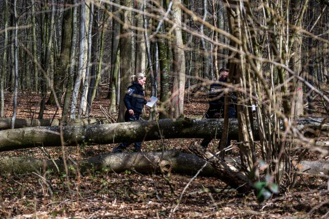 05 April 2026, Schleswig-Holstein, Flensburg: Police officers stand next to a fallen tree in a wooded area south-east of Flensburg. Three people died in an accident on Easter Sunday, including a mother and her baby. A tree around 30 meters high had fallen on a group in the municipality of Mittelangeln during strong gusts of wind, according to police reports. Four people were trapped under the tree. Photo: Benjamin Nolte/dpa