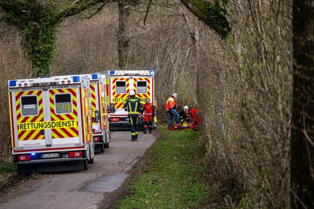 05 April 2026, Schleswig-Holstein, Flensburg: Police officers stand next to a fallen tree in a wooded area south-east of Flensburg. Three people died in an accident on Easter Sunday, including a mother and her baby. A tree around 30 meters high had fallen on a group in the municipality of Mittelangeln during strong gusts of wind, according to police reports. Four people were trapped under the tree. Photo: Benjamin Nolte/dpa