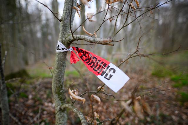 05 April 2026, Schleswig-Holstein, Flensburg: Remnants of a police cordon are seen along a forest path in a wooded area southeast of Flensburg. Three people, including a mother and her baby, were killed on Easter Sunday when a roughly 30-metre-tall tree fell onto a group of people in the municipality of Mittelangeln during strong gusts of wind. Four people were trapped under the tree, according to police reports. Photo: Daniel Reinhardt/dpa