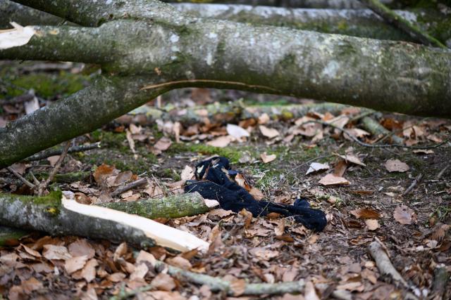 05 April 2026, Schleswig-Holstein, Flensburg: A piece of clothing lies beneath a fallen tree in a wooded area southeast of Flensburg. Three people, including a mother and her baby, were killed on Easter Sunday when a roughly 30-metre-tall tree fell onto a group of people in the municipality of Mittelangeln during strong gusts of wind. Four people were trapped under the tree, according to police reports. Photo: Daniel Reinhardt/dpa