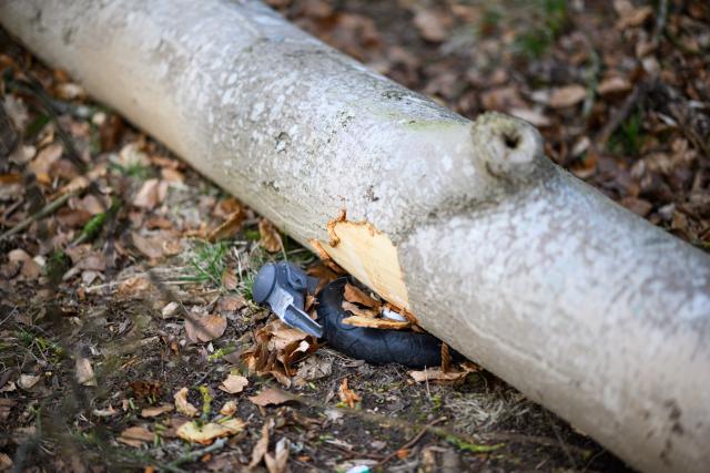 05 April 2026, Schleswig-Holstein, Flensburg: A plastic bicycle is wedged under a fallen tree in a wooded area southeast of Flensburg. Three people, including a mother and her baby, were killed on Easter Sunday when a roughly 30-metre-tall tree fell onto a group of people in the municipality of Mittelangeln during strong gusts of wind. Four people were trapped under the tree, according to police reports. Photo: Daniel Reinhardt/dpa
