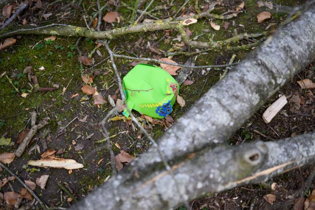 05 April 2026, Schleswig-Holstein, Flensburg: A painted paper Easter basket lies beneath a fallen tree in a wooded area southeast of Flensburg. Three people, including a mother and her baby, died in an accident on Easter Sunday when a roughly 30-metre-tall tree fell onto a group of people in the municipality of Mittelangeln during strong gusts of wind. Four people were trapped under the tree, according to police reports. Photo: Daniel Reinhardt/dpa