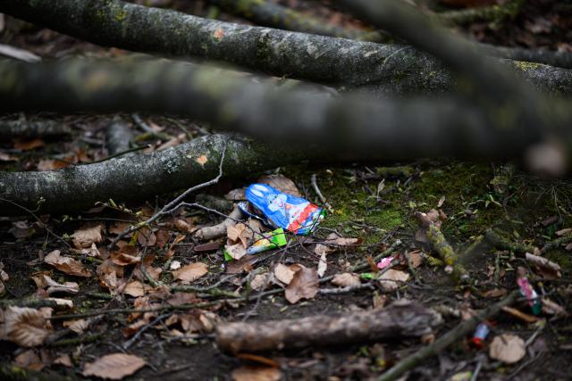 05 April 2026, Schleswig-Holstein, Flensburg: A crushed chocolate Easter bunny lies beneath a fallen tree in a wooded area southeast of Flensburg. Three people, including a mother and her baby, died in an accident on Easter Sunday when a roughly 30-metre-tall tree fell onto a group of people in the municipality of Mittelangeln during strong gusts of wind. Four people were trapped under the tree, according to police reports. Photo: Daniel Reinhardt/dpa