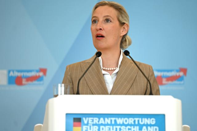 14 April 2026, Berlin: Alice Weidel, Chairwoman and parliamentary group leader of the Alternative for Germany (AfD), gives a statement before the start of the parliamentary group meeting in the German Parliament Bundestag. Photo: Markus Lenhardt/dpa