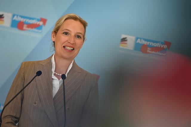 14 April 2026, Berlin: Alice Weidel, Chairwoman and parliamentary group leader of the Alternative for Germany (AfD), gives a statement before the start of the parliamentary group meeting in the German Parliament Bundestag. Photo: Markus Lenhardt/dpa