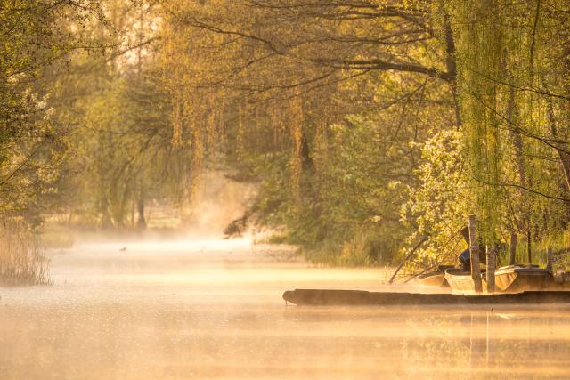 18 April 2026, Brandenburg, Raddusch: The sun rises over the fog-covered landscape in the Spreewald. Photo: Frank Hammerschmidt/dpa