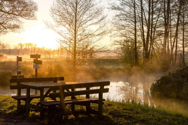 18 April 2026, Brandenburg, Raddusch: The sun rises over the fog-covered landscape in the Spreewald. Photo: Frank Hammerschmidt/dpa