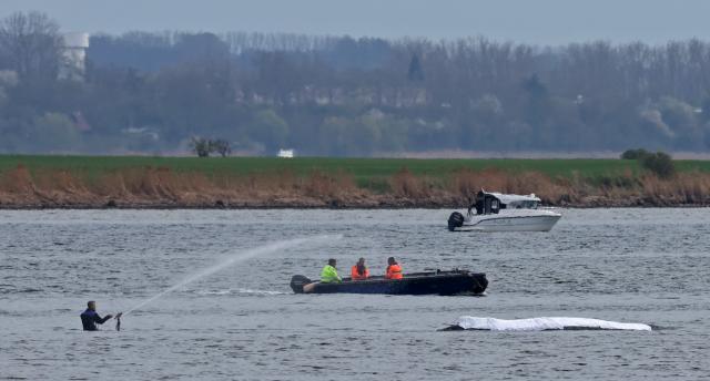 18 April 2026, Mecklenburg-Western Pomerania, Kirchdorf: A rescuer adjusts the water jet to moisten the back of the stranded humpback whale off the island of Poel. A new rescue attempt is planned for the humpback whale that stranded near Wismar. Photo: Bernd Wüstneck/dpa