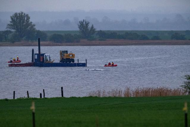 19 April 2026, Mecklenburg-Vorpommern, Weitendorf-Hof: A work barge equipped with a special excavator and several smaller support boats are currently operating near the stranded humpback whale off the coast of Poel. A new rescue effort has been launched for the whale that stranded near Wismar. The plan is to be carried out by a private initiative. Photo: Stefan Sauer/dpa