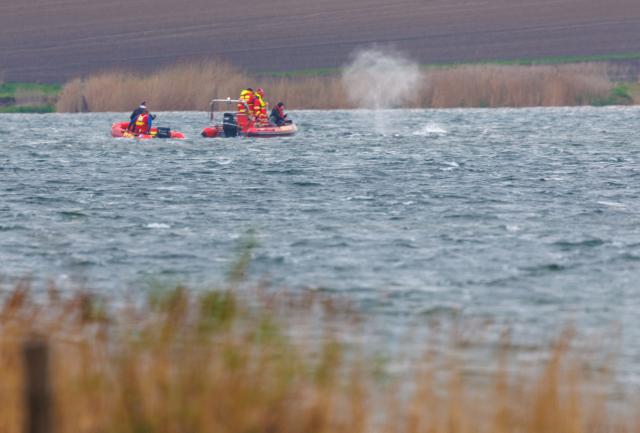 20 April 2026, Mecklenburg-Western Pomerania, Kirchdorf (Poel): The humpback whale, stuck off Germany's Baltic Sea coast for almost three weeks, is seen swimming. Photo: Jens Büttner/dpa