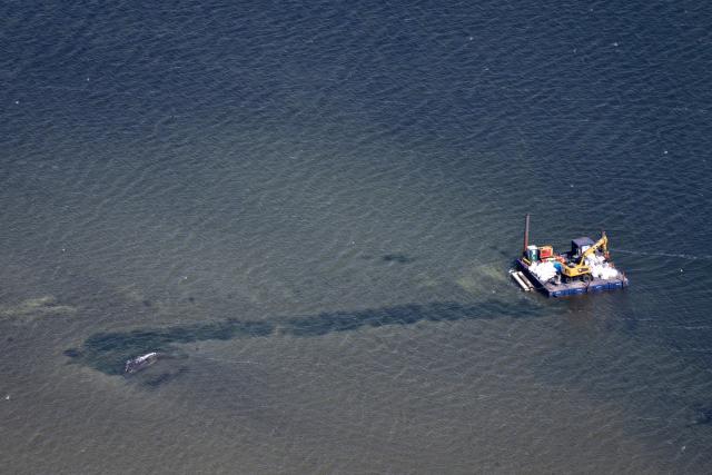 25 April 2026, Mecklenburg-Western Pomerania, Faehrdorf: An aerial view shows a channel leads from the stranded whale into deeper water off the Baltic Sea island of Poel. A private initiative has been trying to rescue the stranded humpback whale that is still lying in shallow water. Photo: Philip Dulian/dpa