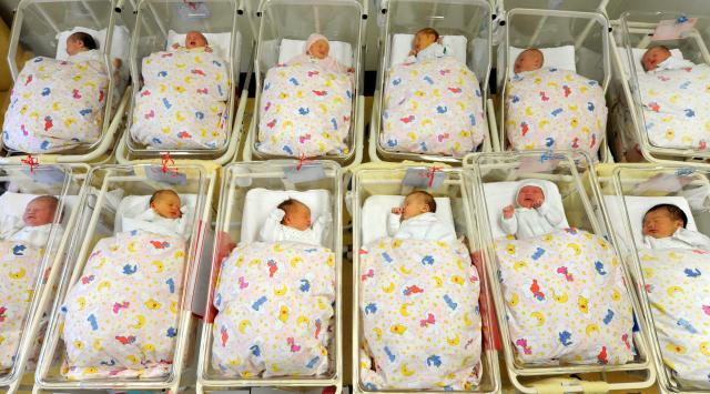 FILED - 05 January 2011, Saxony-Anhalt, Halle: Babies lie in their cribs in the neonatal ward at St. Elisabeth and St. Barbara Hospital in Halle. Photo: Waltraud Grubitzsch/dpa-Zentralbild/dpa