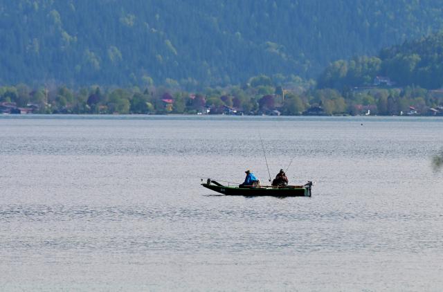 28 April 2026, Bavaria, Gmund Am Tegernsee: Two anglers are rowing across Lake Tegernsee. Photo: Malin Wunderlich/dpa