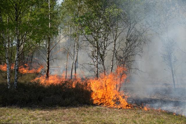 03 May 2026, Brandenburg, Jueterbog: Fire and smoke rise from a forested area near Jueterbog, where a blaze has been burning on a former military training site contaminated with ammunition since Friday. Photo: Manuel Genolet/dpa