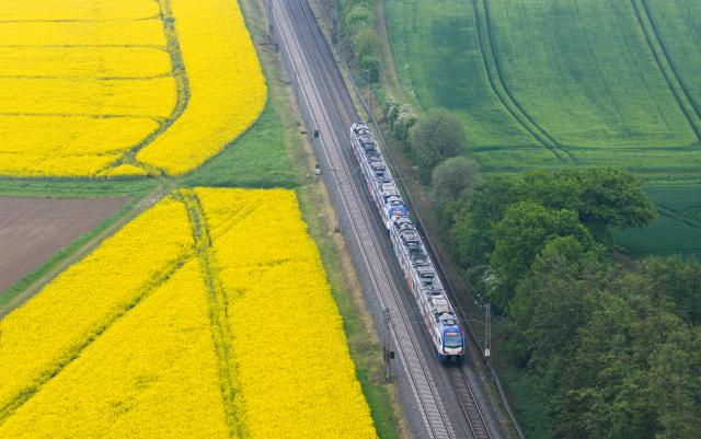05 May 2026, Lower Saxony, Wennigsen: An aerial view takn with a drone shows S5 train of the Hanover S-Bahn runs between blossoming rapeseed fields through the Hanover region near Holtensen. Photo: Julian Stratenschulte/dpa