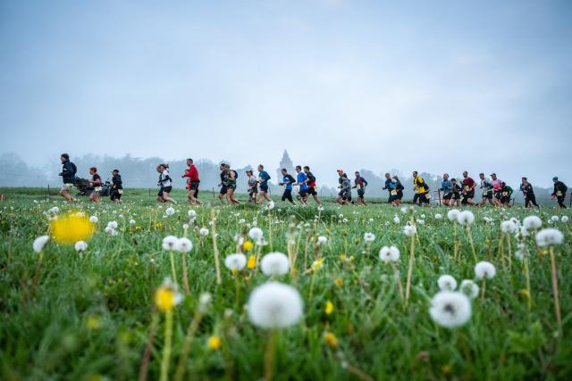 09 May 2026, Thuringia, Eisenach: Runners are seen shortly after the start of the supermarathon course near Eisenach during the 53rd GutsMuths Rennsteig Run in the Thuringian Forest. Featuring several courses, including the 73.9-kilometre supermarathon, the event is considered one of Europe's largest and most traditional cross-country races. Photo: Jacob Schröter/dpa