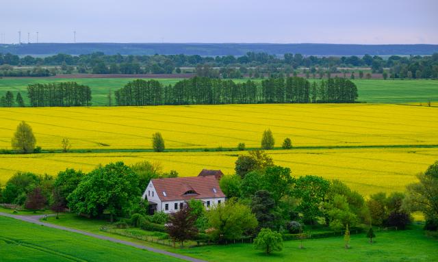 13 May 2026, Brandenburg, Wuhden: View of the Oderbruch landscape from a hill. Photo: Patrick Pleul/dpa