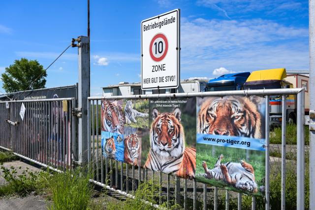 18 May 2026, Saxony, Schkeuditz: A banner featuring photos of tigers hangs at the gate to the area where tigers are kept in an industrial park in Schkeuditz. German police have shot dead a tiger that escaped from a private facility near the eastern city of Leipzig on Sunday. Photo: Heiko Rebsch/dpa