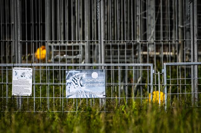 18 May 2026, Saxony, Schkeuditz: A warning sign reading "Warning!!! Danger of death. Do not enter!" hangs in front of a tiger cage in Schkeuditz. German police have shot dead a tiger that escaped from a private facility near the eastern city of Leipzig on Sunday. Photo: Heiko Rebsch/dpa