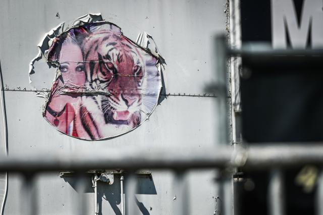 18 May 2026, Saxony, Schkeuditz: An old sticker showing a tiger with its trainer is seen on a truck in an industrial park in Schkeuditz. German police have shot dead a tiger that escaped from a private facility near the eastern city of Leipzig on Sunday. Photo: Heiko Rebsch/dpa