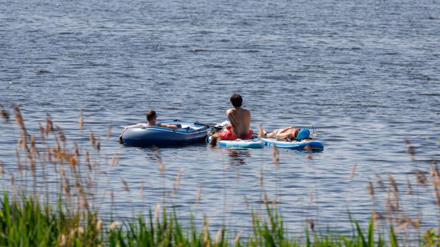 23 May 2026, Hamburg: Three people sit on stand-up paddleboards on the Outer Alster. Photo: Markus Scholz/dpa