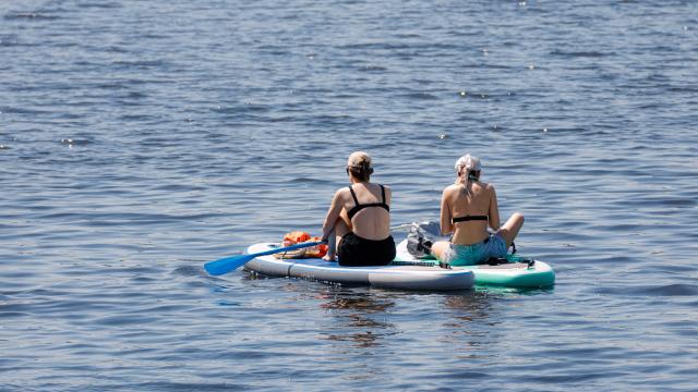 23 May 2026, Hamburg: Two women sit on stand-up paddleboards on the Outer Alster. Photo: Markus Scholz/dpa