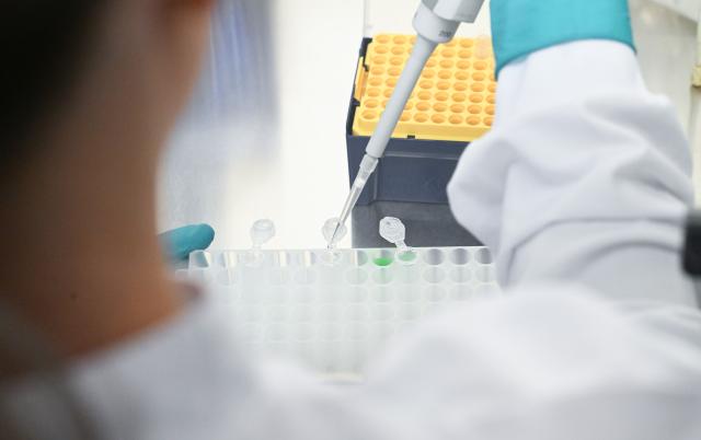 FILED - 04 December 2024, Tuebingen: FILE PHOTO - An employee pipettes in a laboratory at a biopharmaceutical company. Photo: Bernd Weißbrod/dpa