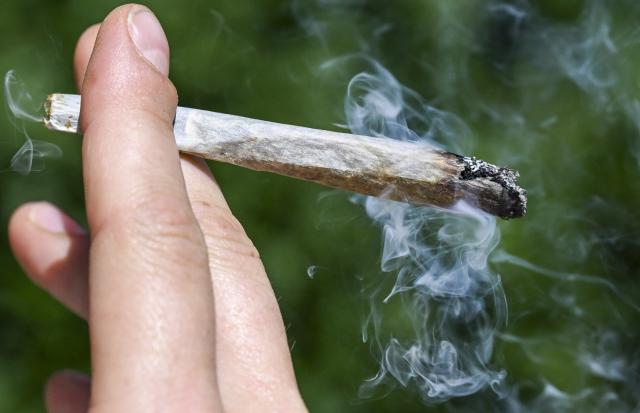 11 June 2026, Berlin: A woman holds a joint in her hands during the "Mary Jane Berlin" cannabis trade fair at a "Summit Smoke" stand. Around 700 exhibitors present cannabis-related products. The organizers are expecting around 75,000 visitors for the tenth anniversary. Photo: Jens Kalaene/dpa