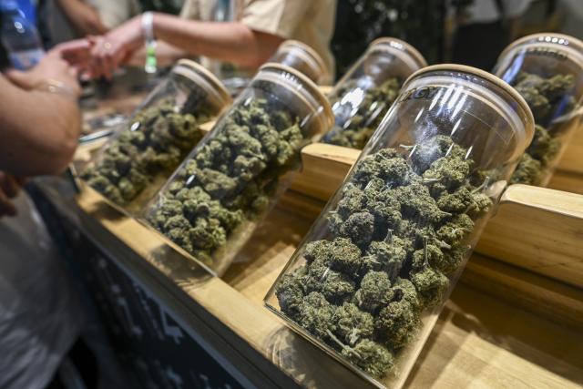 11 June 2026, Berlin: Hemp flowers are displayed during the "Mary Jane Berlin" cannabis trade fair at a "Summit Smoke" stand. Around 700 exhibitors present cannabis-related products. The organizers are expecting around 75,000 visitors for the tenth anniversary. Photo: Jens Kalaene/dpa