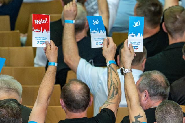 20 June 2026, Bavaria, Passau: Members of the Bavarian Alternative for Germany (AfD) cast their votes at the party's state convention in the Dreilaenderhalle. Photo: Armin Weigel/dpa