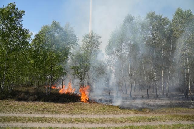 FILED - 03 May 2026, Brandenburg, Jueterbog: FILE PHOTO - Fire and smoke can be seen in a wooded area near Jueterbog. Photo: Manuel Genolet/dpa