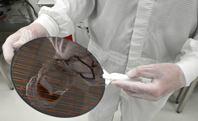 23 June 2026, Thuringia, Erfurt: An employee holds a wafer in the clean-room of the Erfurt-based chip manufacturer X-FAB. The X-FAB Group, which has factories in Erfurt and Dresden as well as in France, Malaysia, and the US, employs more than 4,000 people, according to the company. In Erfurt, where the company has its roots, there are currently more than 800 employees. Photo: Martin Schutt/dpa