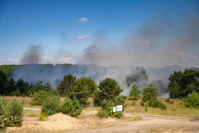 25 June 2026, Mecklenburg-Western Pomerania, Neustrelitz: Plumes of smoke rise from a fire at a former military training area. Photo: Stefan Sauer/dpa