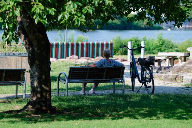 26 June 2026, Baden-Württemberg, Heidelberg: A woman is sitting in the shade of a tree by the Neckar River. Photo: Uwe Anspach/dpa