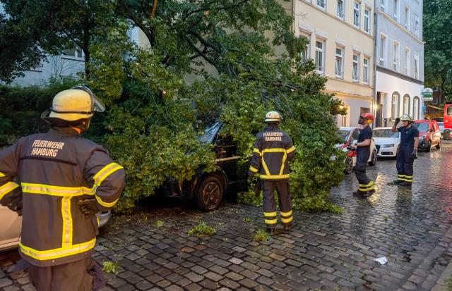 28 June 2026, Hamburg: After a thunderstorm, emergency responders stand next to a car covered in broken branches in the St. Pauli district of Hamburg. Photo: Bodo Marks/dpa