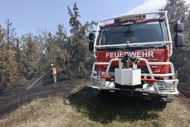 28 June 2026, Saxony-Anhalt, Blankenburg: Firefighters are currently battling a forest fire in the Harz Mountains. Since yesterday, approximately four hectares of pine forest between Wienrode and Treseburg have been ablaze. A special unit from Lower Saxony is assisting the firefighters. The "Hexe 1" firefighting aircraft is also being deployed to help extinguish the blaze. Photo: Matthias Bein/dpa