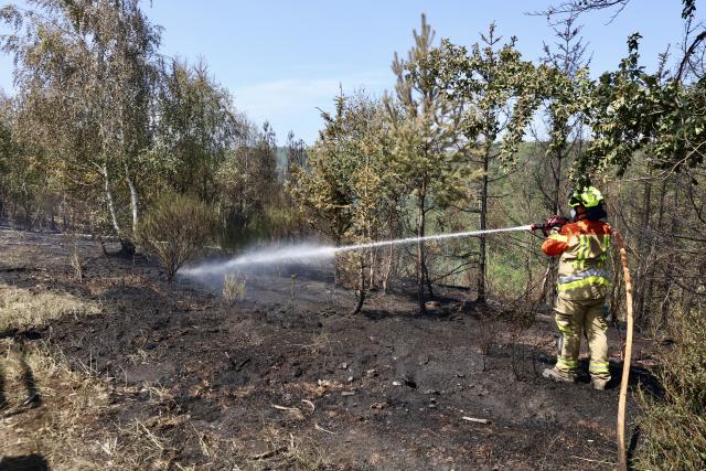 28 June 2026, Saxony-Anhalt, Blankenburg: Firefighters are currently battling a forest fire in the Harz Mountains. Since yesterday, approximately four hectares of pine forest between Wienrode and Treseburg have been ablaze. A special unit from Lower Saxony is assisting the firefighters. The "Hexe 1" firefighting aircraft is also being deployed to help extinguish the blaze. Photo: Matthias Bein/dpa