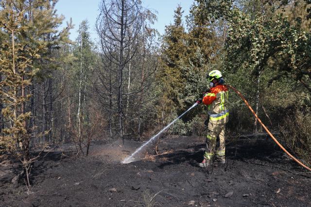 28 June 2026, Saxony-Anhalt, Blankenburg (Harz): Firefighters battle a forest fire near Blankenburg. Since Saturday, approximately four hectares of forest have been burning in a wooded area between Wienrode and Treseburg. Photo: Matthias Bein/dpa