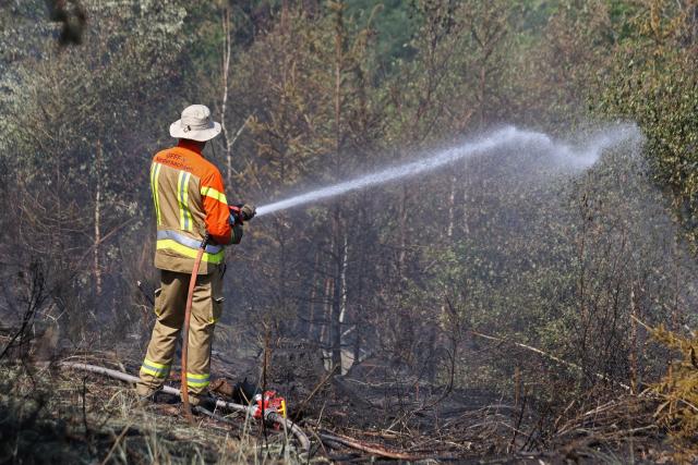 28 June 2026, Saxony-Anhalt, Blankenburg (Harz): Firefighters battle a forest fire near Blankenburg. Since Saturday, approximately four hectares of forest have been burning in a wooded area between Wienrode and Treseburg. Photo: Matthias Bein/dpa