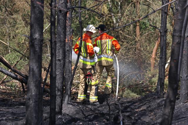 28 June 2026, Saxony-Anhalt, Blankenburg (Harz): Firefighters battle a forest fire near Blankenburg. Since Saturday, approximately four hectares of forest have been burning in a wooded area between Wienrode and Treseburg. Photo: Matthias Bein/dpa