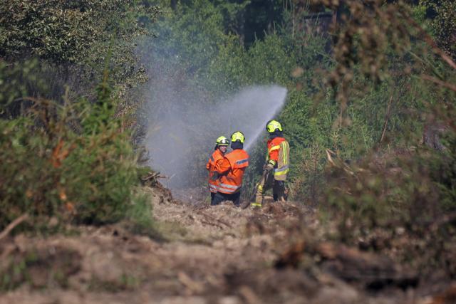 28 June 2026, Saxony-Anhalt, Blankenburg (Harz): Firefighters battle a forest fire near Blankenburg. Since Saturday, approximately four hectares of forest have been burning in a wooded area between Wienrode and Treseburg. Photo: Matthias Bein/dpa