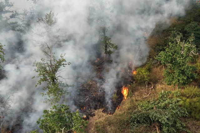 28 June 2026, Rhineland-Palatinate, Traisen: Firefighters battle a wildfire in a nature reserve in the Bad Kreuznach district. The wildfire, which continues to spread in the area contaminated with unexploded ordnance, has led to the evacuation of the entire municipality of Traisen. Photo: Kevin Schößler/dpa