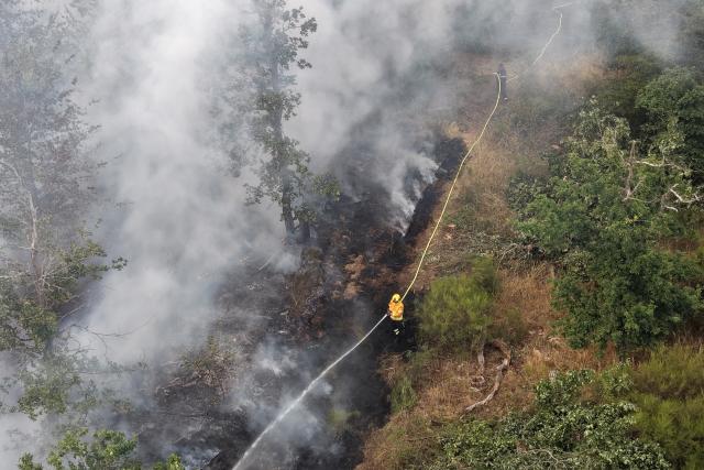 28 June 2026, Rhineland-Palatinate, Traisen: Firefighters battle a wildfire in a nature reserve in the Bad Kreuznach district. The wildfire, which continues to spread in the area contaminated with unexploded ordnance, has led to the evacuation of the entire municipality of Traisen. Photo: Kevin Schößler/dpa