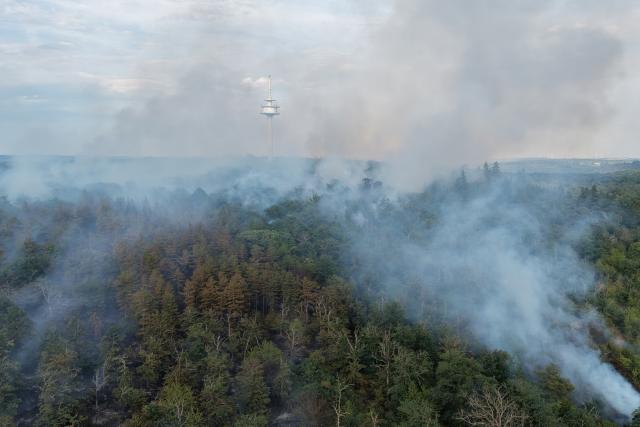 28 June 2026, Rhineland-Palatinate, Traisen: Smoke rises from a nature reserve in the Bad Kreuznach district, where a wildfire has spead. The wildfire, has led to the evacuation of the entire municipality of Traisen. Photo: Kevin Schößler/dpa