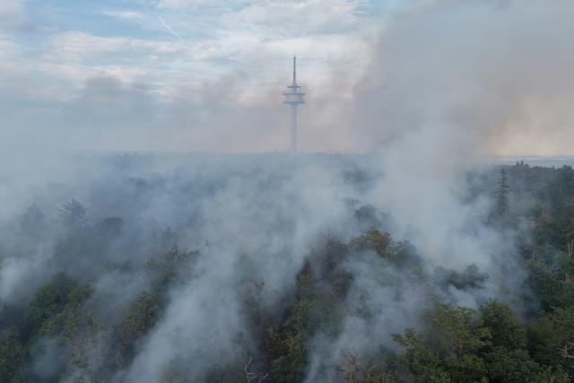 28 June 2026, Rhineland-Palatinate, Traisen: Smoke rises from a nature reserve in the Bad Kreuznach district, where a wildfire has spead. The wildfire, has led to the evacuation of the entire municipality of Traisen. Photo: Kevin Schößler/dpa