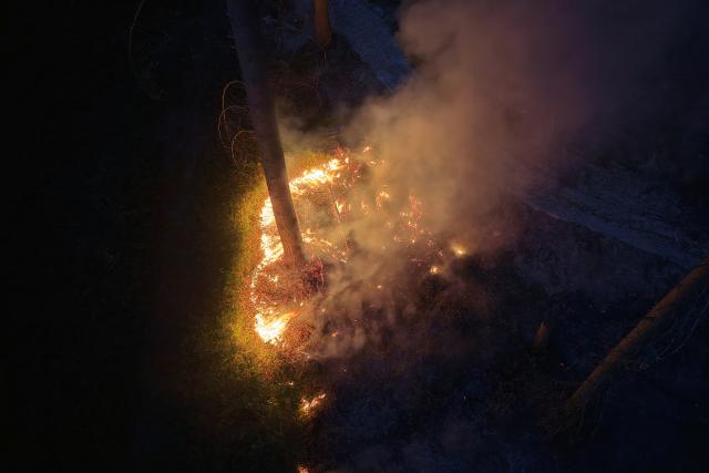 28 June 2026, Rhineland-Palatinate, Traisen: Flames are blazing in the forest on the Schanzenkopf in a nature reserve in the Bad Kreuznach district. The forest fire, which continues to spread in this area contaminated with unexploded ordnance, has led to the evacuation of the entire municipality of Traisen. Photo: Kevin Schößler/dpa