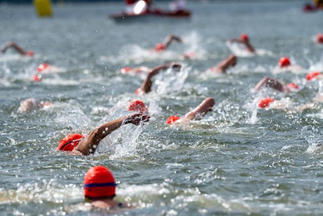 04 July 2026, Mecklenburg-Western Pomerania, Stralsund: People take part in the International Sound Swim at the harbor of Parow near Stralsund. Due to weather conditions, the organizers moved the start of the 61st Sound Swim from Altefaehr to Parow. Photo: Stefan Sauer/dpa